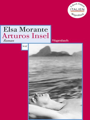 cover image of Arturos Insel